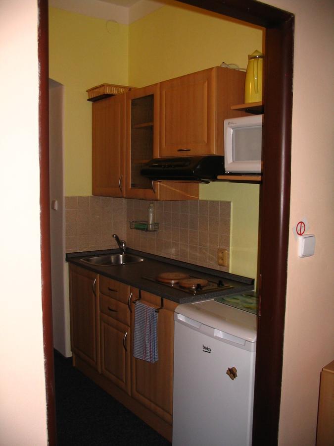 Apartmany Ingeborg Jáchymov Exterior foto